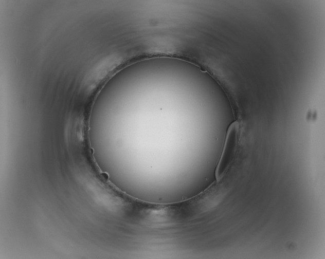 X0000111920068200907271259
