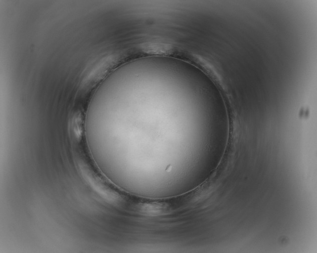 X0000111920069200907271259