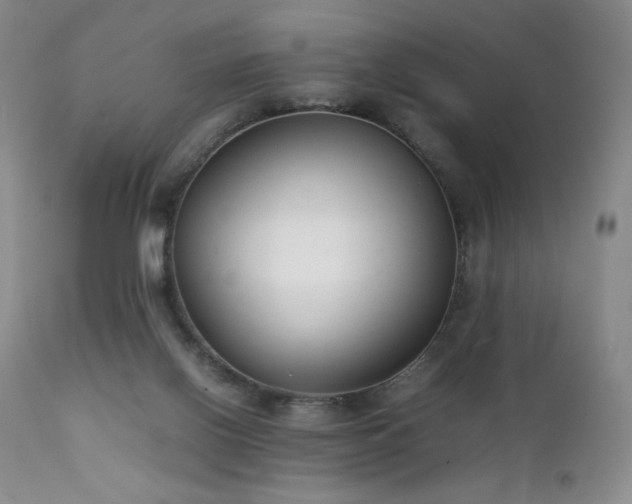 X0000111920070200907271259