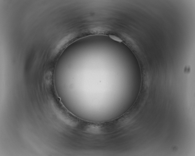 X0000111920071200907271259