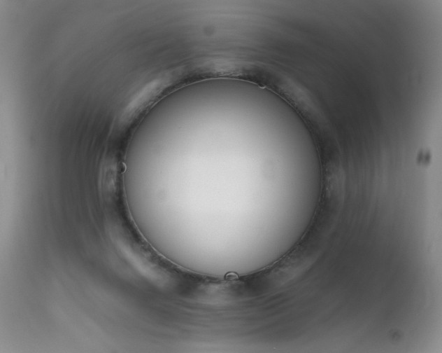 X0000111920072200907271259