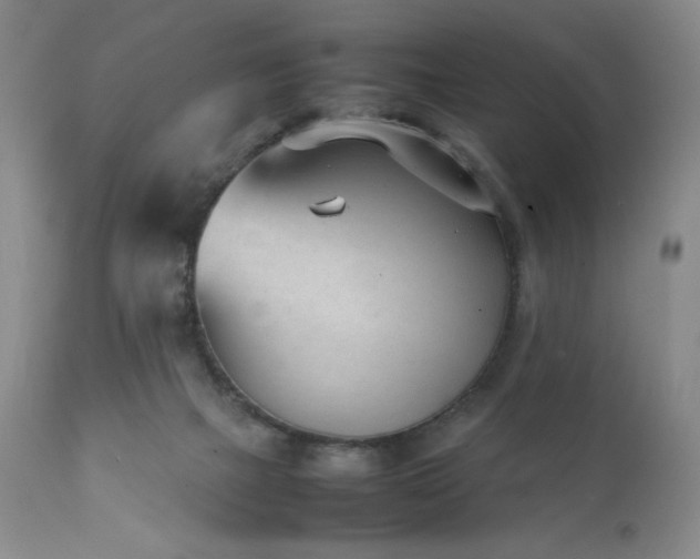 X0000111920073200907271259