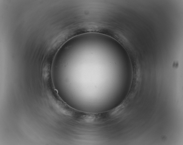 X0000111920074200907271259