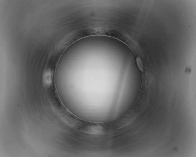 X0000111920075200907271259