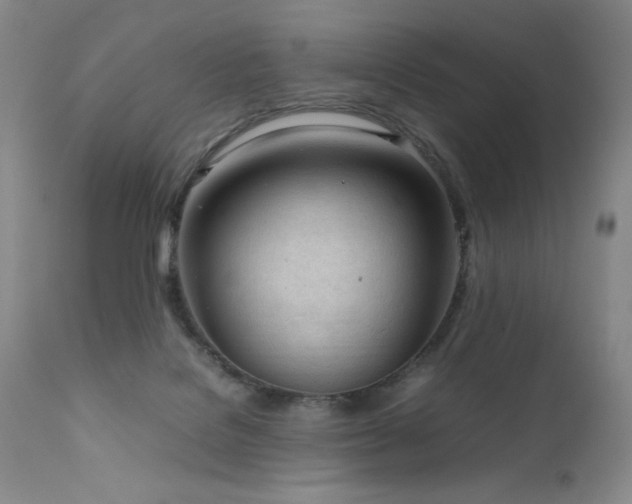 X0000111920076200907271259
