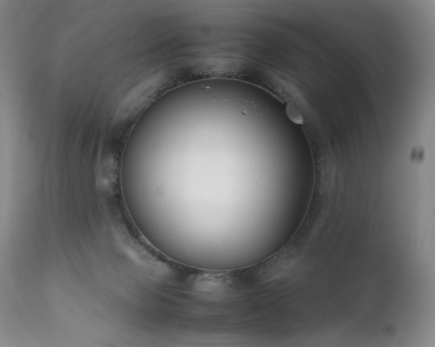 X0000111920077200907271259