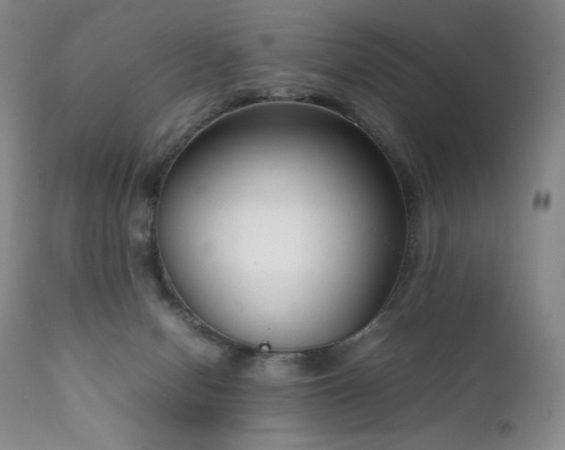 X0000111920078200907271259