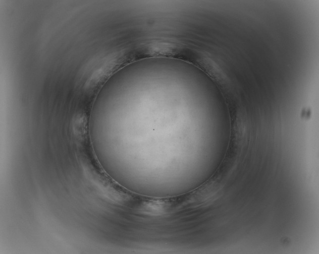 X0000111920079200907271259