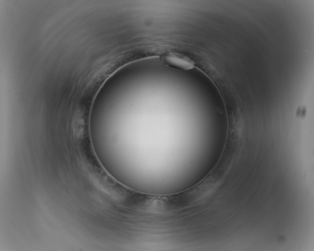 X0000111920080200907271259