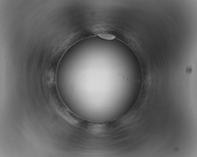 X0000111920081200907271259