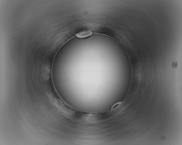 X0000111920082200907271259