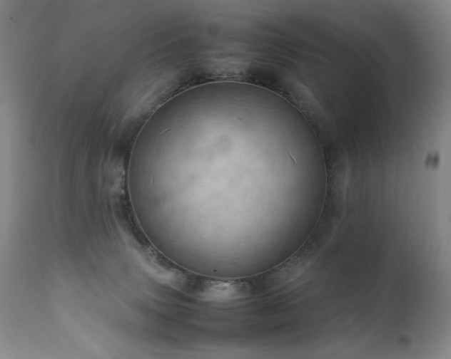 X0000111920083200907271259