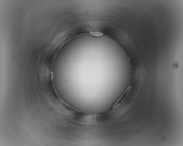 X0000111920084200907271259