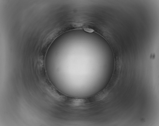 X0000111920085200907271259