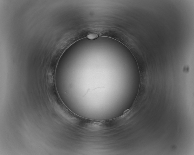 X0000111920086200907271259
