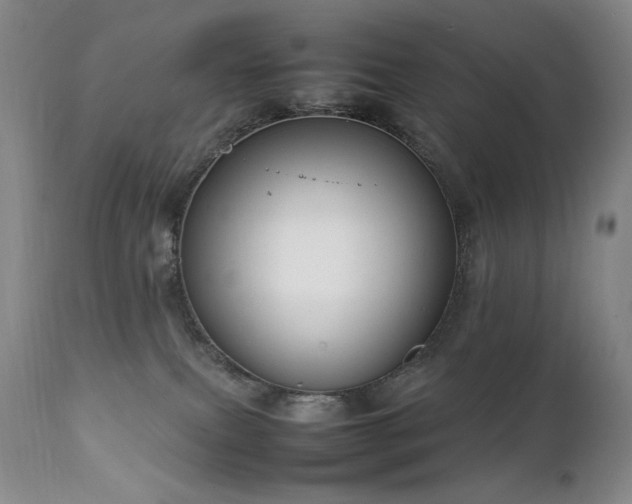 X0000111920087200907271259