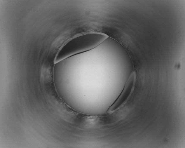 X0000111920088200907271259