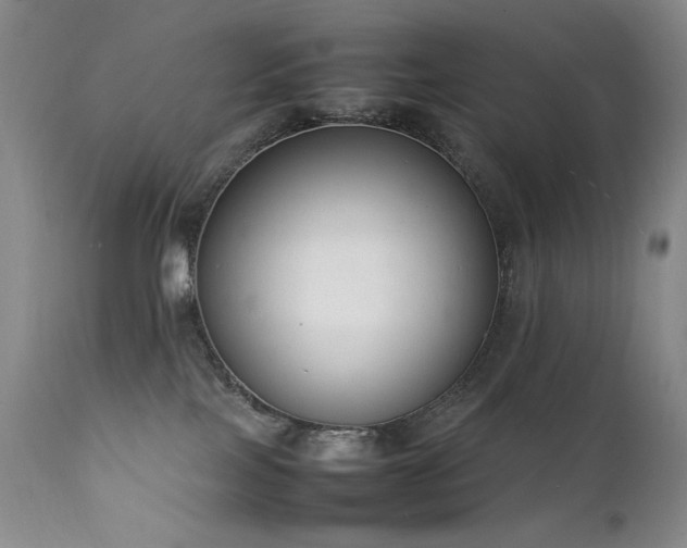 X0000111920089200907271259