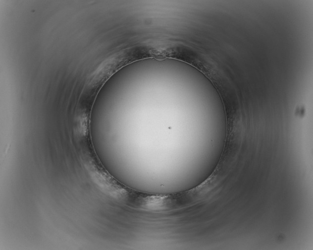 X0000111920090200907271259
