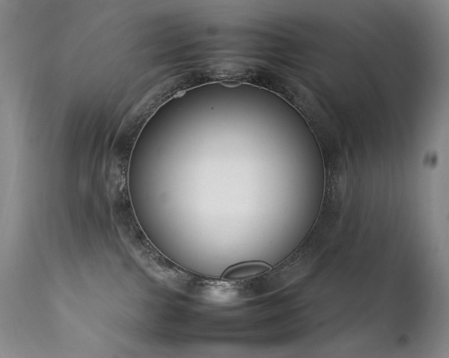 X0000111920091200907271259