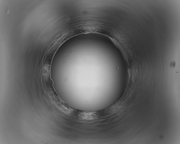 X0000111920093200907271300
