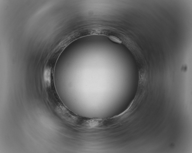 X0000111920094200907271300
