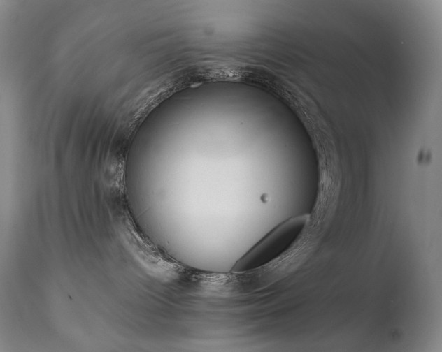 X0000111920096200907271300