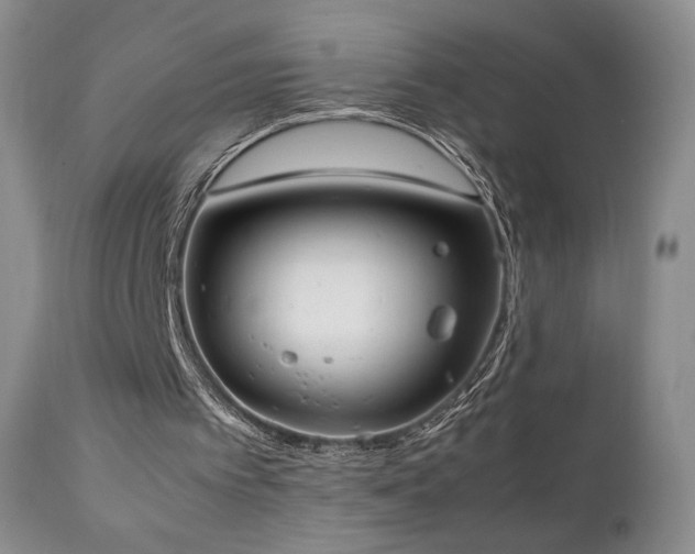 X0000111920097200907271259