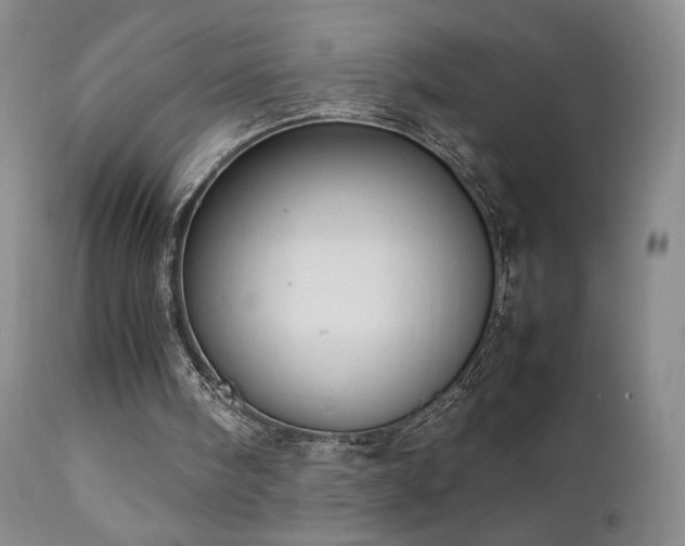 X0000111920098200907271259