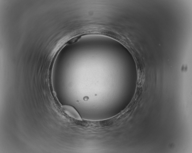 X0000111920099200907271259