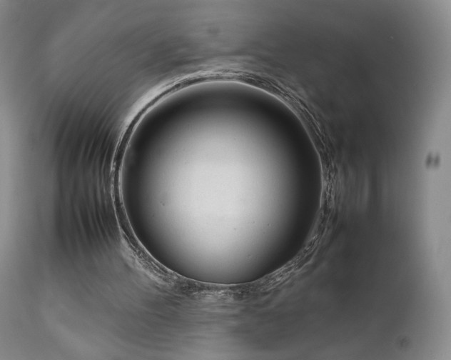 X0000111920100200907271259