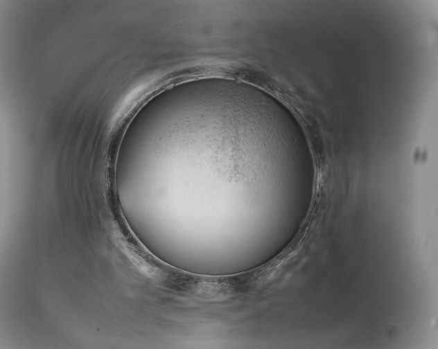 X0000111920101200907271259