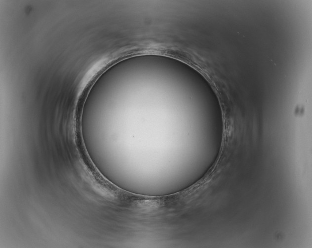 X0000111920102200907271259