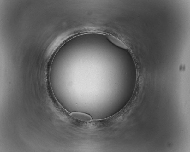 X0000111920103200907271258