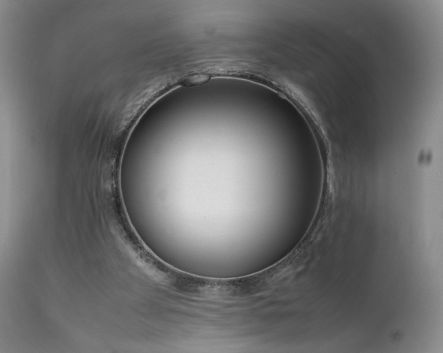 X0000111920105200907271258