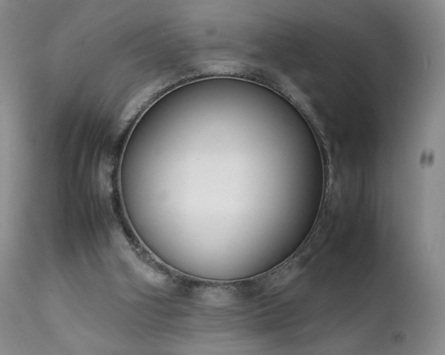 X0000111920106200907271258