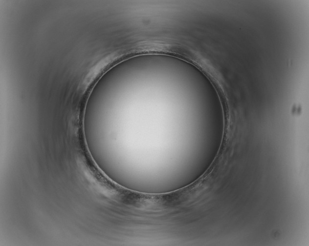 X0000111920107200907271258