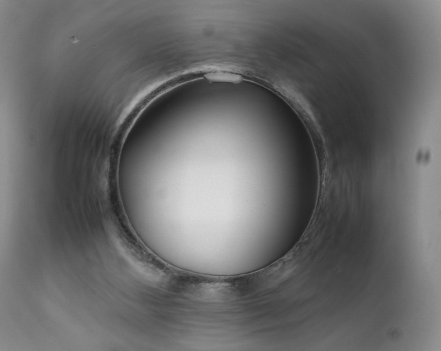 X0000111920108200907271258