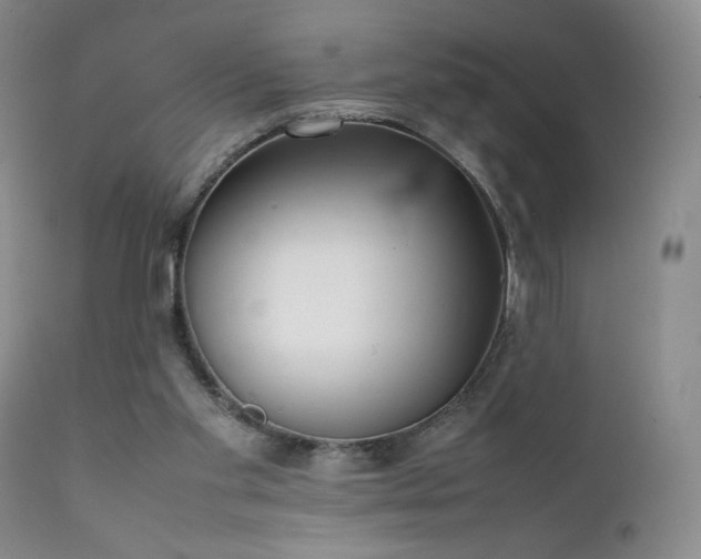 X0000111920109200907271258
