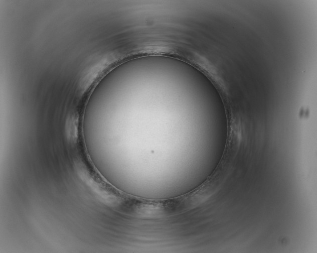 X0000111920110200907271258