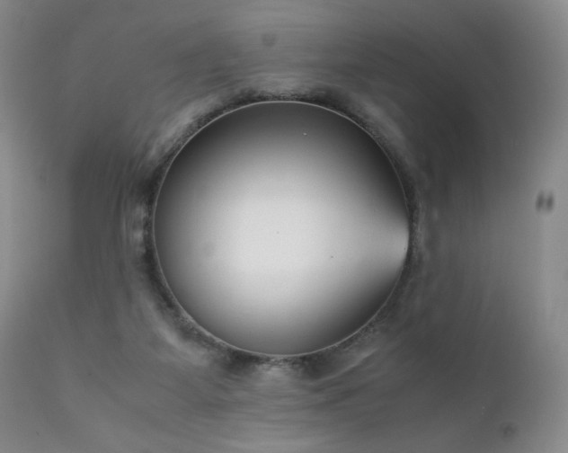X0000111920115200907271258