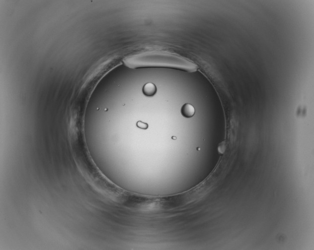 X0000111920116200907271258