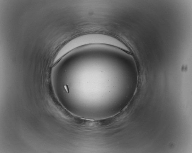 X0000111920117200907271258