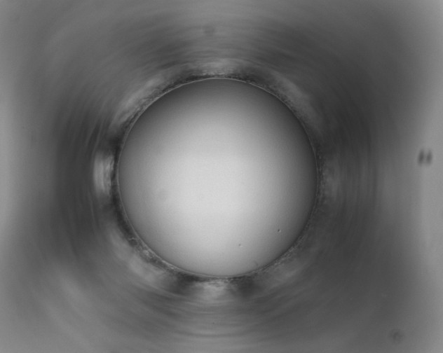 X0000111920118200907271258