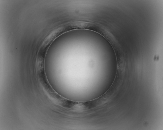 X0000111920119200907271258