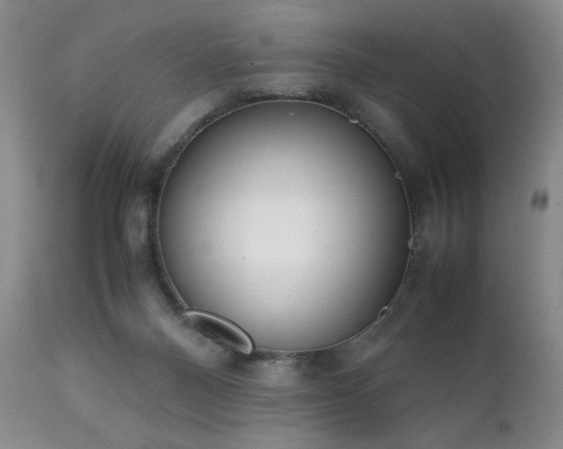 X0000111920120200907271258