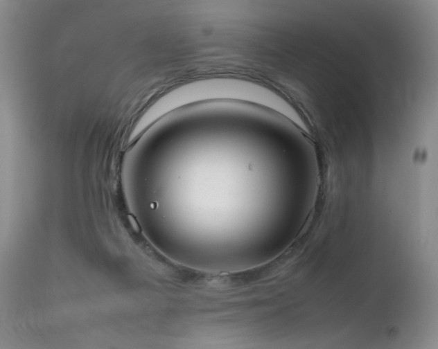 X0000111920121200907271258