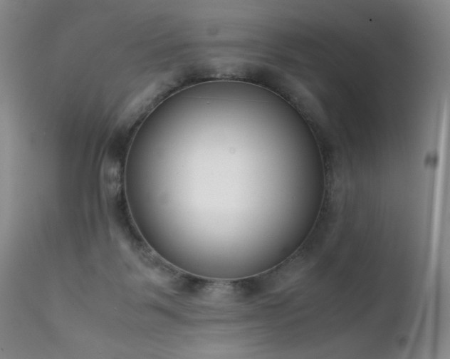 X0000111920123200907271258