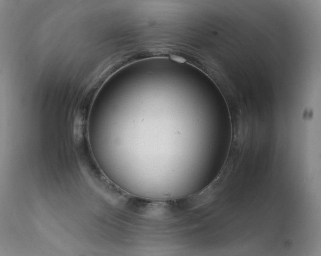 X0000111920124200907271258