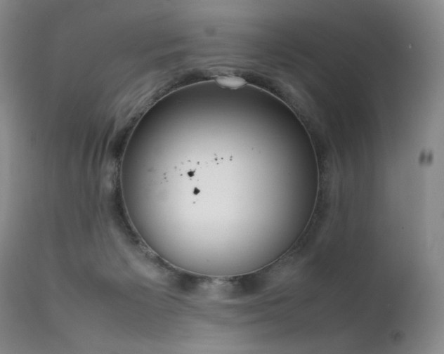 X0000111920125200907271258